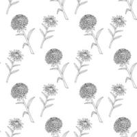 modèle sans couture avec des fleurs d'aster créatives en noir et blanc sur fond blanc. image vectorielle. livre de coloriage. vecteur