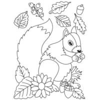 écureuil mignon mangeant des graines de glands fleurs feuilles automne saison d'automne pages d'illustration à colorier vecteur