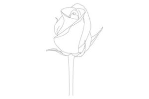 illustration vectorielle, page de coloriage kdp, fleurs de contour vectoriel. page de coloriage d'art en ligne avec des roses et des feuilles vecteur