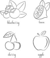 main dessiner frutis, ensemble. pomme, citron, cerise, myrtille. vecteur