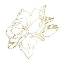 croquis de vecteur de fleur de magnolia peinte à la main noire