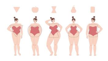 les jolies femmes sont de type pomme, triangle, sablier et rectangle. diverses femmes en maillot de bain se tiennent alignées. illustration vectorielle de filles potelées en surpoids isolées. vecteur