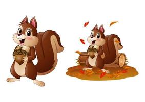 écureuil drôle de dessin animé tenant une pomme de pin vecteur