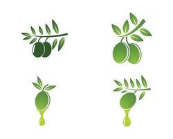 logos de branche d'huile d'olive vecteur