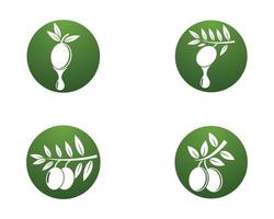 icônes de logo d'huile d'olive