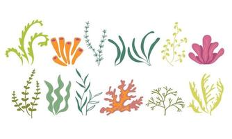 flore marine sous-marine. algues plantes océaniques phytoplancton, algues, laminaires, mousse de mer. ensemble de vaisselle verte. illustration vectorielle sur fond blanc vecteur