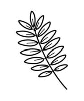 illustration vectorielle de rowan feuille et branche doodle, isoler sur blanc. vecteur