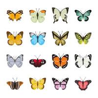 pack de beaux illustrations plates de papillons vecteur