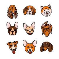 image vectorielle. muselières de chiens de différentes races, comme l'épagneul, le beagle, l'akita inu, le bouledogue français, le chihuahua, le yorkshire terrier, le jack russell terrier, le corgi, le teckel vecteur