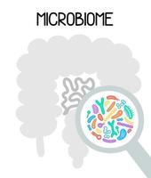 illustration du microbiome humain avec image vectorielle des intestins et des bactéries. gastroentérologue. bifidobactéries, lactobacilles. bactéries lactiques. vecteur