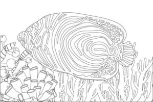 coloriage poisson. la vie marine. monde sous-marin. illustration vectorielle vecteur