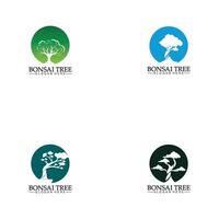 bonsai logo design silhouette icône vecteur