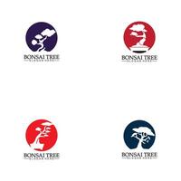 bonsai logo design silhouette icône vecteur