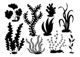 algues dessinées à la main dans un style doodle vecteur