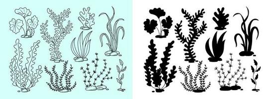 algues dessinées à la main dans un style doodle