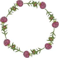 cadre rond avec de grandes fleurs d'aster roses sur fond blanc. image vectorielle. vecteur