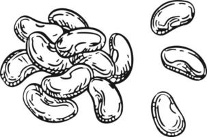 illustration vectorielle grappe de raisins de cuve avec feuille - symbole, icône, élément de conception de colis, motif ornemental abstrait sur fond blanc. illustration vectorielle vecteur