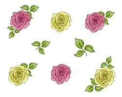 ensemble de roses roses et jaunes à l'aquarelle vecteur