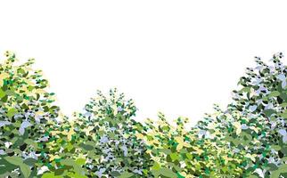 ensemble de plantes vertes ornementales sous la forme d'une haie. arbuste de jardin réaliste, buisson saisonnier, buis, feuillage de brousse de couronne d'arbre. pour décorer d'un parc, d'un jardin ou d'une clôture verte. vecteur