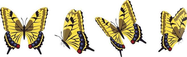 vecteur série de beaux papillons colorés sur fond blanc