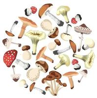 compositions de champignons d'automne illustration vectorielle isolée sur fond blanc vecteur