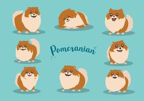 Free Pomeranian vector vecteur