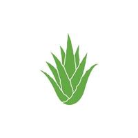 conception d'icône de plante verte d'aloe vera. icône de feuille d'aloe vera. icône de plante d'aloe vera. illustration vectorielle vecteur