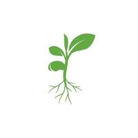 icône du logo éco germé. symbole d'icône de semis de feuille verte. concept de conception de plantes en croissance. thème d'icône éco. icône de l'écologie. icône de croissance de graines. illustration vectorielle vecteur