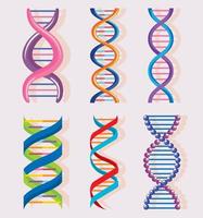 six molécules d'ADN vecteur