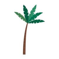 arbre palmier plante tropicale vecteur