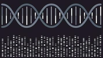 adn double hélice avec bandes de séquençage fond d'illustration vectorielle vecteur