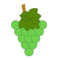 une branche de raisins verts. dessin de fruits. illustration plate vecteur