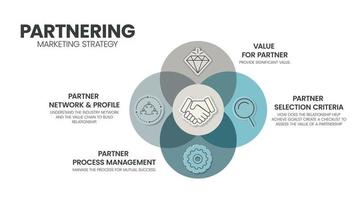 le modèle d'infographie d'analyse de partenariat comporte 4 étapes à analyser, telles que le réseau et le profil de partenaires, la valeur pour le partenaire, le processus de partenariat et les critères de sélection des partenaires. concept de stratégie de mise sur le marché. vecteur