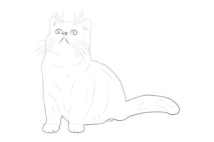 kitty cat coloriage conception pour enfants enfants stock vector style illustration animal coloriage page