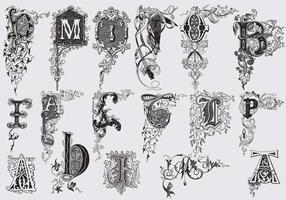 Lettres majuscules avec décor acanthus vecteur
