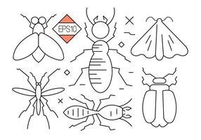 Icônes vectorielles de insectes et insectes vecteur