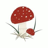 bel agaric de mouche toxique sur une jambe mince dans la forêt vecteur