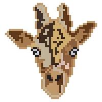 pixel tête de girafe sur fond blanc. vecteur