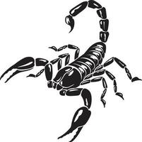 scorpion animal noir et blanc illustration vectorielle vecteur