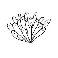 illustration vectorielle dessinée à la main de plante pour aquarium. vecteur
