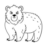 l'ours brun mignon se tient debout et a l'air droit. animaux de la forêt. image de contour d'illustration vectorielle vecteur