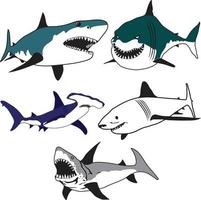 illustration vectorielle de requin vecteur