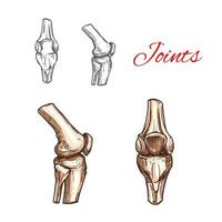 icône de croquis de vecteur d'articulations humaines du genou ou du coude
