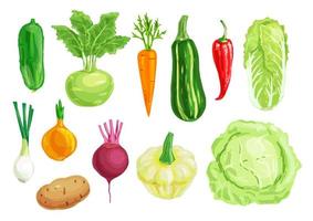 ensemble d'illustration aquarelle de légumes biologiques vecteur