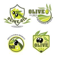 ensemble d'icônes de produit vectoriel d'huile d'olive