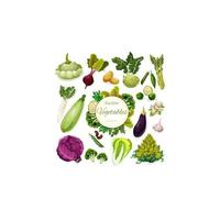 conception d'affiche de dessin animé de légumes verts et de haricots vecteur