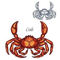 crabe, homard, fruits mer, vecteur, isolé, croquis, icône vecteur