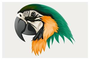 dessin de tête de perroquet orange et vert vecteur