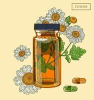 fleurs de grande camomille et flacon et pilules vecteur