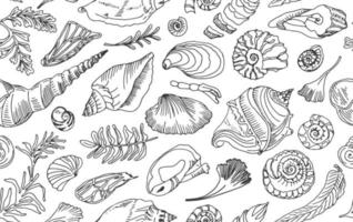 contour de ligne noire isolée coquillages et plantes modèle sans couture coquille d'océan dessiné à la main ou conque mollusque pétoncle mer animal sous-marin fossile nautique et aquarium, thème marin. illustration vectorielle vecteur